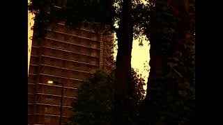 hwi_running_2005.avi