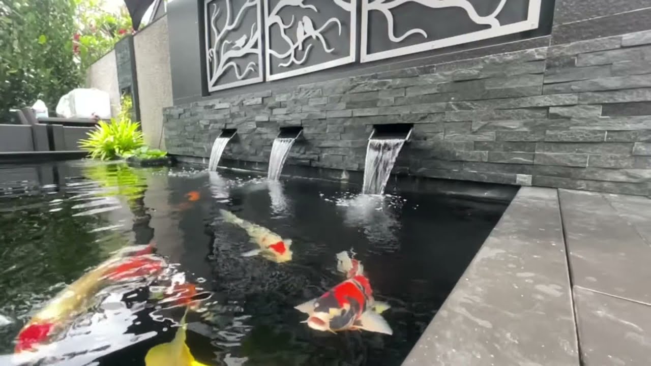 The Formal Koi Pond Singapore YouTube