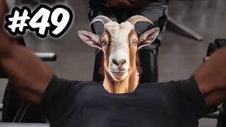 Who's gonna carry da GOATS?! [DAY #49]