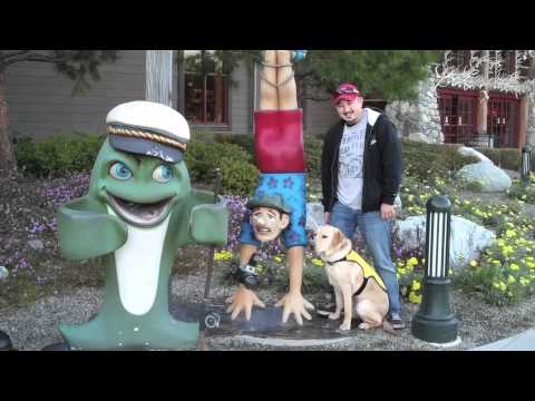 puppy-in-training-tv---ep10---puppy-training-in-the-snow-and-bass-pro-shop