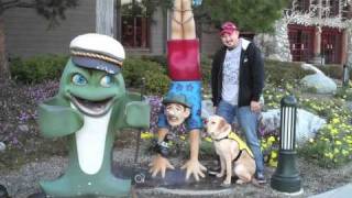 Puppy In Training TV - Ep10 - Puppy Training In The Snow And Bass Pro Shop