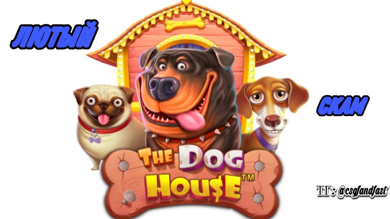 Dog house слот играть dog houses info