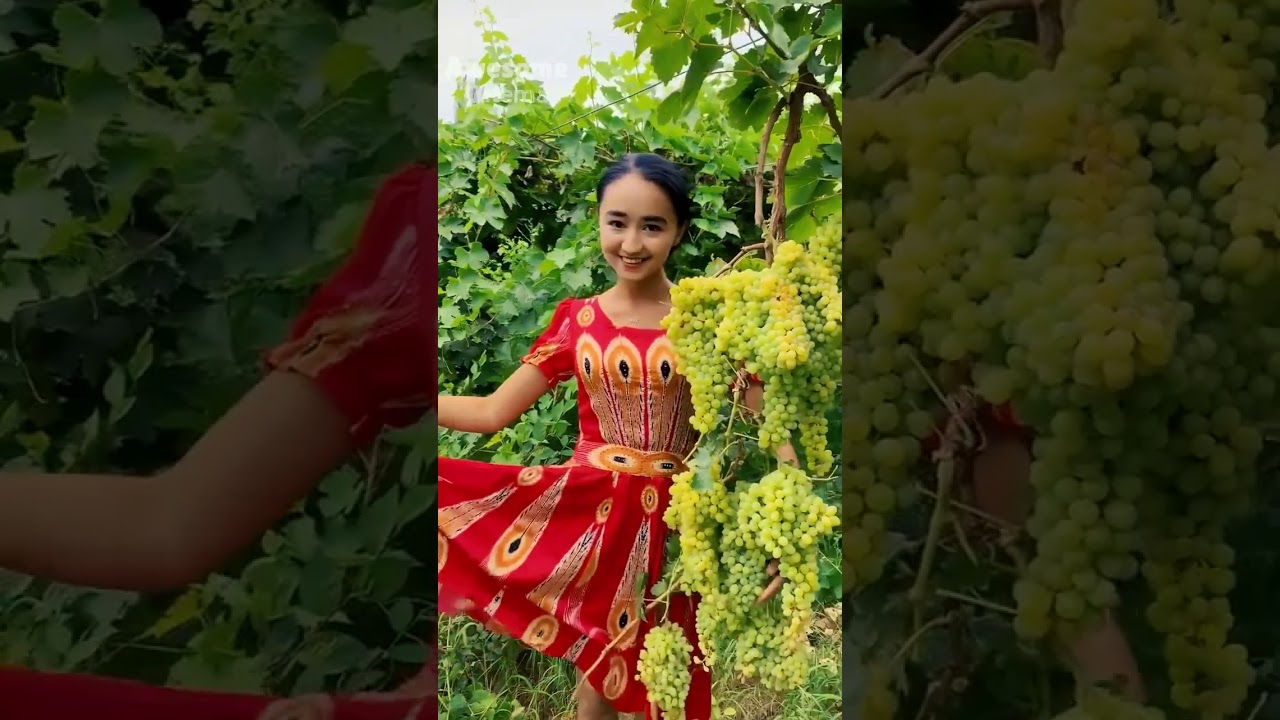 Super gorgeous grape kingdom