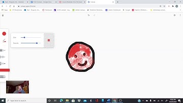 elementary mcguire Using Canvas Chrome