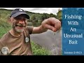 River Fishing - Trotting With An Unusual Bait - 21/8/21 (Video 267)