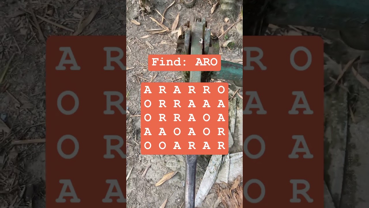 Observation Visual Test: 5 Seconds For You To Spot ARO. Try Your Skills!  