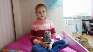 Как назвать щенка? Как назвать щенка?