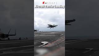 미해군 전투기 조종사의 주야간 항공모함 착함 [ F/A-18E/F fighter jet landing on aircraft carrier at night and day ]