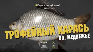 ТРОФЕЙНЫЙ КАРАСЬ СЕРЕБРЕННЫЙ НА МЕДВЕЖЬЕМ