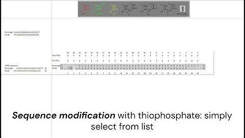 Understanding the chemical modifications of oligonucleotides in an interactive way