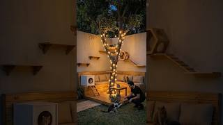 DIY Ultimate Backyard Cat Paradise 🌳 From Day to Night Transformation