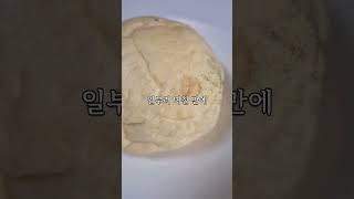 무방부제 유기농 빵 오래 보관하는 비결은?