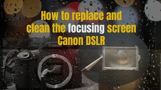 Canon Mark 5D II. How to Replace & Clean the Focusing Screen 