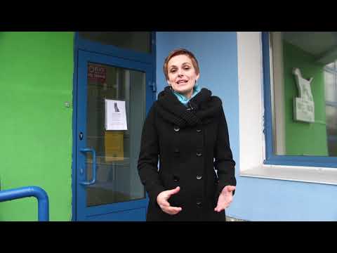 что делать, если собака