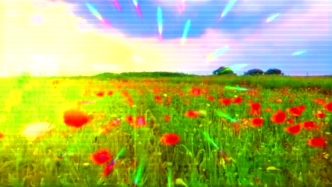 Watch 4:44 - Garden (2021) DEMO on YouTube Watch 4:44 - Garden (2021) DEMO on YouTube