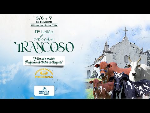 LOTE 19