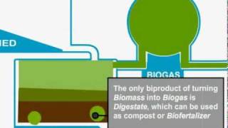 Biomass Gasification