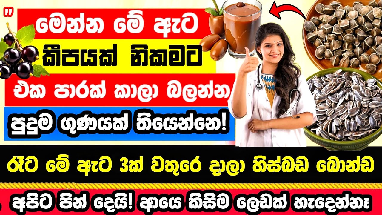 🔴මේ ඇට ගුලියෙන් දිනකට නියපොත්තක ප්‍රමාණයක් කන්ඩ! පිලිකාව සුනේ සුන්!