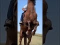 РћРґРЅР Р РґС СЏ РїСЂРёРґСѓ РЅР С РІРѕСЋ СЃРІР РґСЊР Сѓ рџ Јрџ Јрџ Ј РћРґРЅР Р РґС СЏ РїСЂРёРґСѓ РЅР С РІРѕСЋ СЃРІР РґСЊР Сѓ рџ Јрџ Јрџ Ј