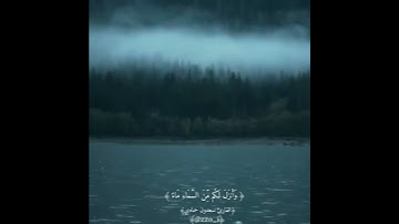 ايه بصوت القارئ سعدون حمادي 🌿🌧رائع 💔