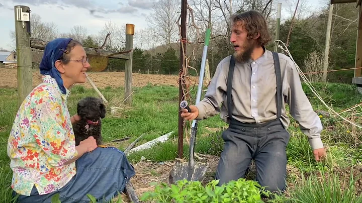 How to Transplant a Tomato 🍅🪴 | Henson Creek School of Country Living | Titus Morris | 04.02.25