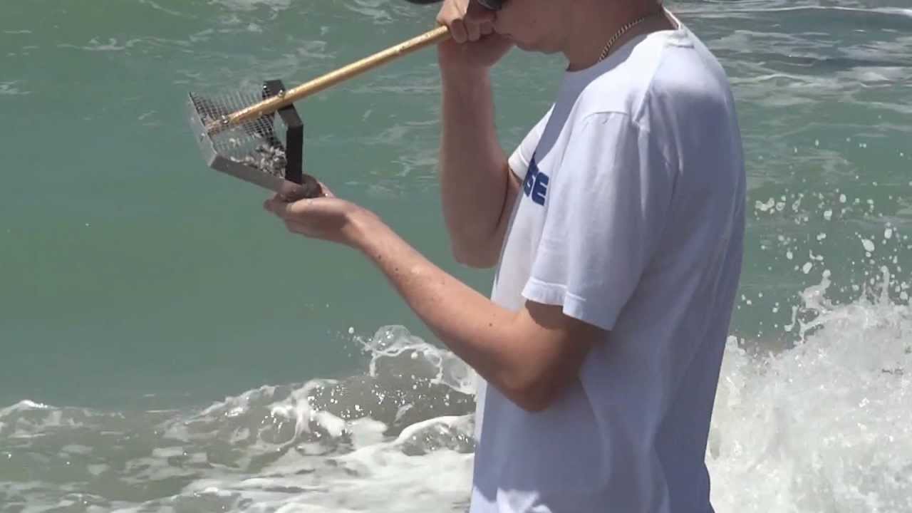 Sifting for shark teeth on Caspersen Beach, Venice, Florida 6/4/13