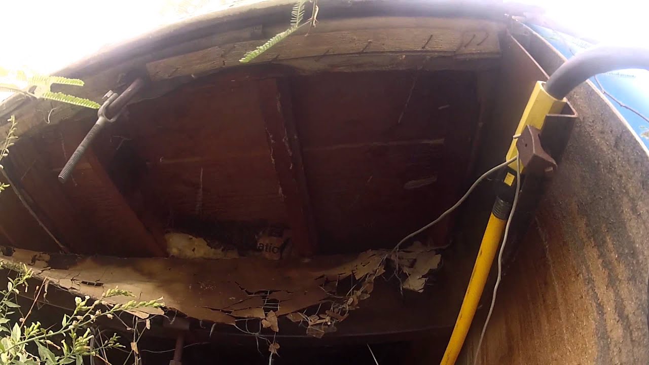 Gopro Bee Bee Hive GoPro Capture - YouTube