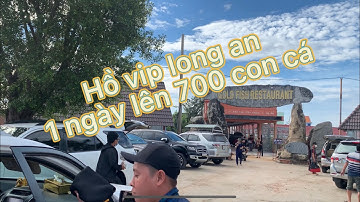 Đổi gió xuống long an câu cá và trải nghiệm hồ câu giải gold fish ngày chủ nhật