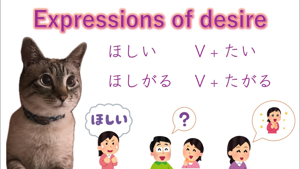 Expressions of desire in Japanese ~ Learn Japanese with Toby~ ほしい・ほしがる ...