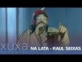 Na Lata: Raul Seixas cover