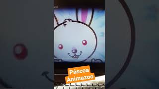 Coelhinho Do Animazoo.