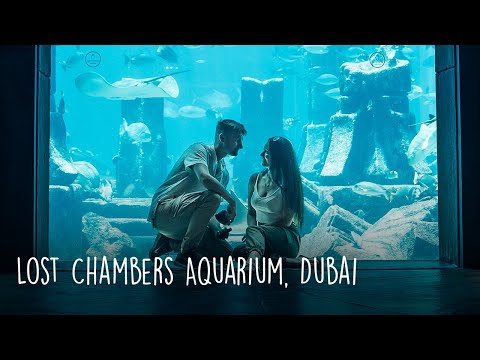 Dubai Must See Places: Das Lost Chambers Aquarium & die Dubai Marina Mall