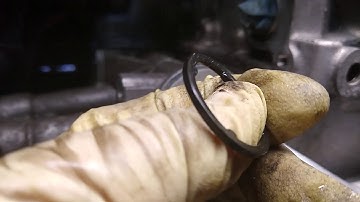 2009 Audi S5 - How to Fix an Engine Oil Leak and Replace an Alternator Belt