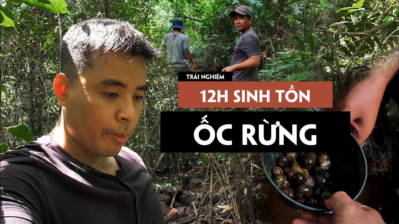 12H Sinh Tồn bắt ỐC RỪNG | 12-hour Survival in forest, catching clams ...