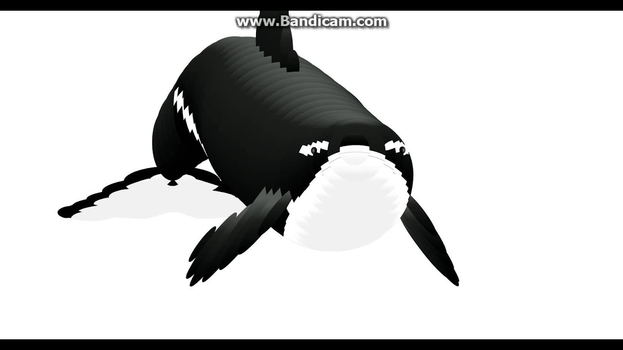 orca mouse follower get low youtube