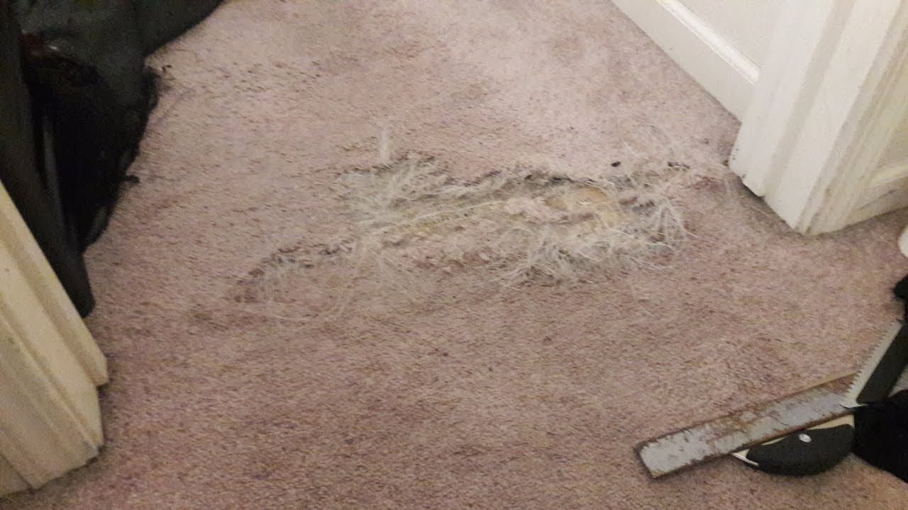 Doorway Carpet Repair in Sacramento CA YouTube
