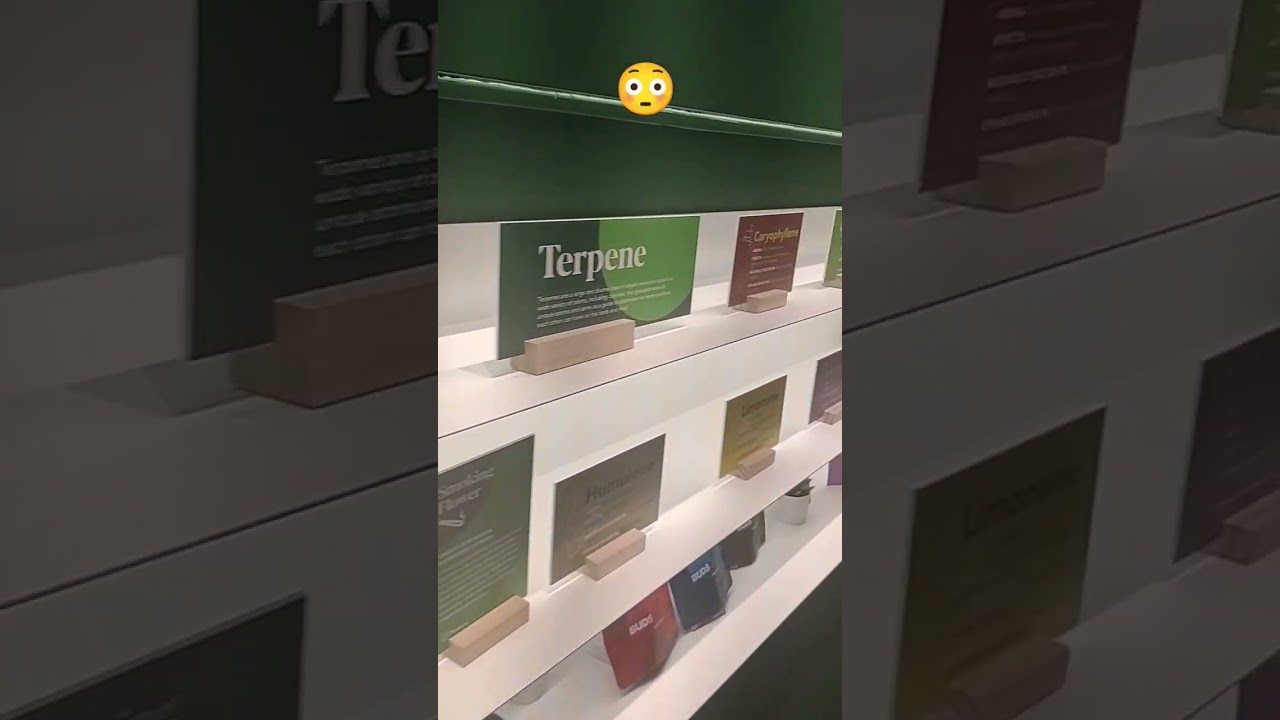 Trulieve Dispensary Tucson Arizona🏜️🌵