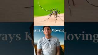 dengue fever shorts currentaffairs pcs upsc motivation