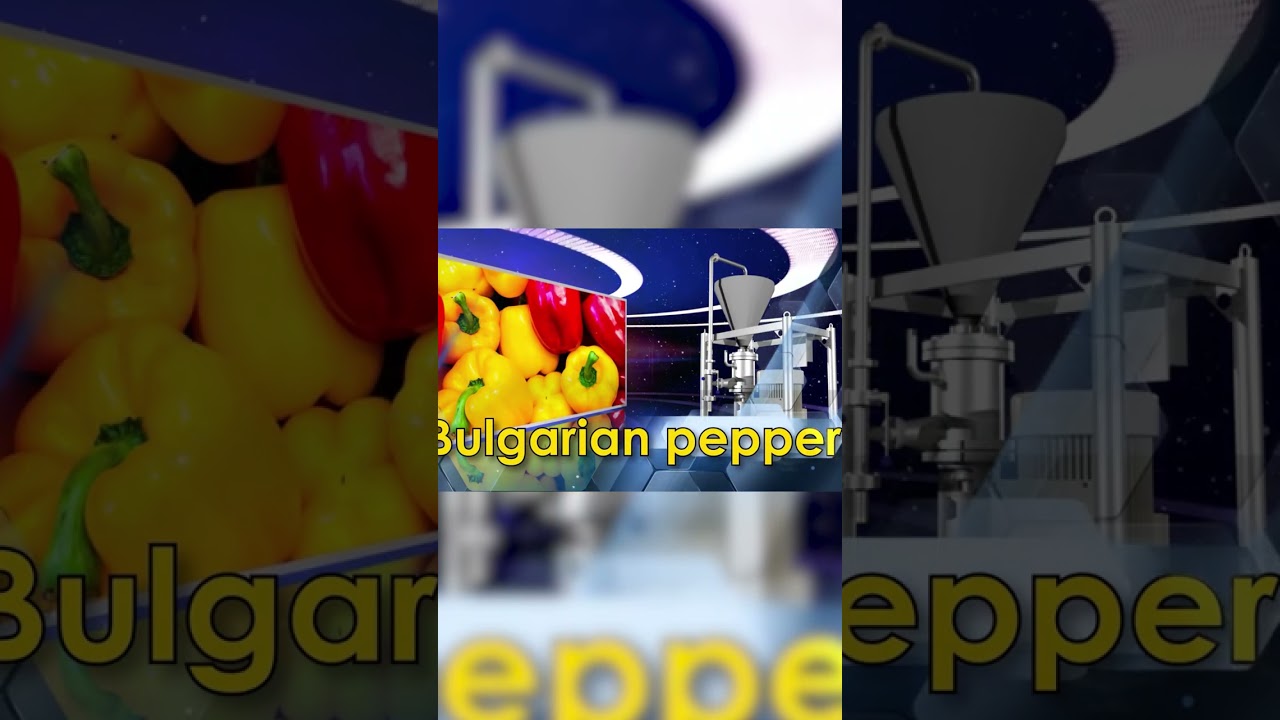 Get Perfectly Pureed Vegetables Every Time with the CLM-250.3 Vegetable Mill