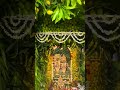 Radha Radha Radha Nam #radheradhe #shortvideo #youtubeshorts #jhansi #radhanaam #krishnabhakti #new
