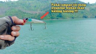 Mini Popper Killer 12 Gram, Umpan Wajib Untuk Casting Di Pinggiran Laut Karang Dangkal !