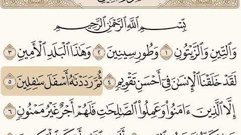 سورة التين بصوت الشيخ محمد ايوب #محمد_ايوب #القرآن_الكريم #religion #تلاوات #سورة_التين