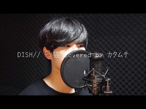 猫_DISH// covered by カタムチ 歌ってみた