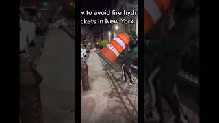 How to avoid fire hydrant tickets😅 #viral #youtubeshorts #explore #funny #prank #newyork #shorts