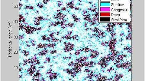 Stochastic cellular automata mimicking deep convection observed in LES