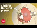 Gene editing inside the body using crispr