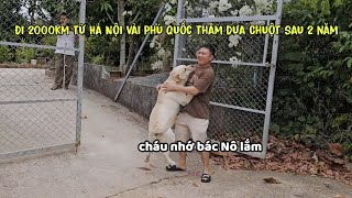 Đi 2000km từ Hà Nội vào Phú Quốc thăm Dưa Chuột sau 2 năm