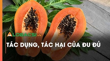 Tác dụng, tác hại của đu đủ