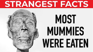 What are the most insane facts in the world?