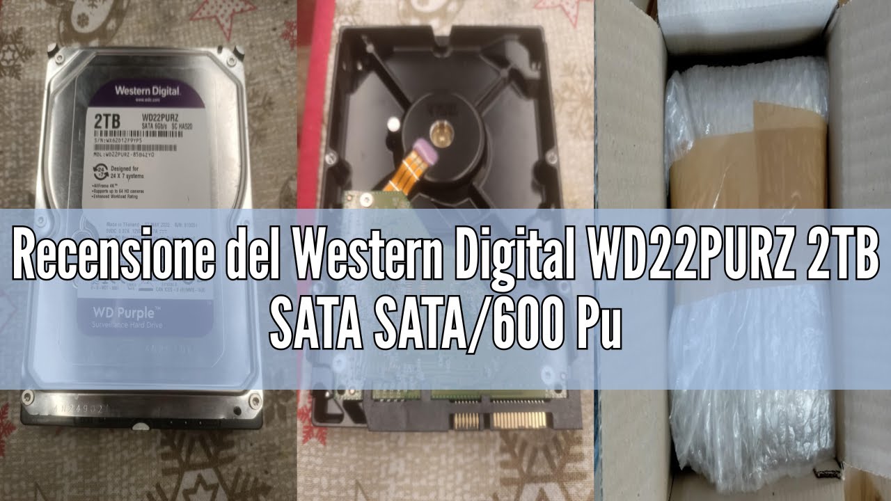 Recensione del Western Digital WD22PURZ 2TB SATA SATA/600 Purple, Hard disk meccanico